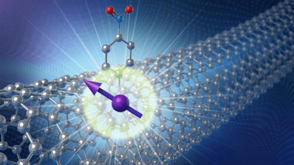 碳管状纳米材料是旋转量子比特的理想家园
